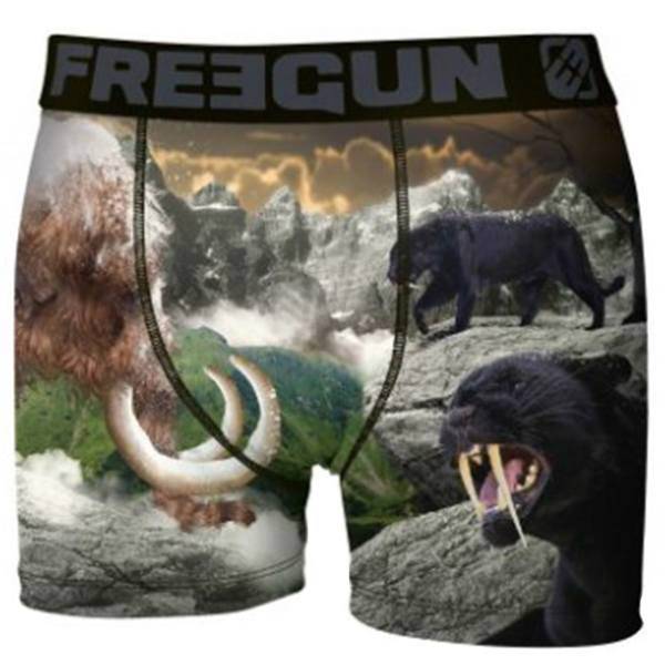 شورت مردانه فیری گان مدل Boxer Winter Animals 3، Freegun Boxer Winter Animals 3 Panty for Men