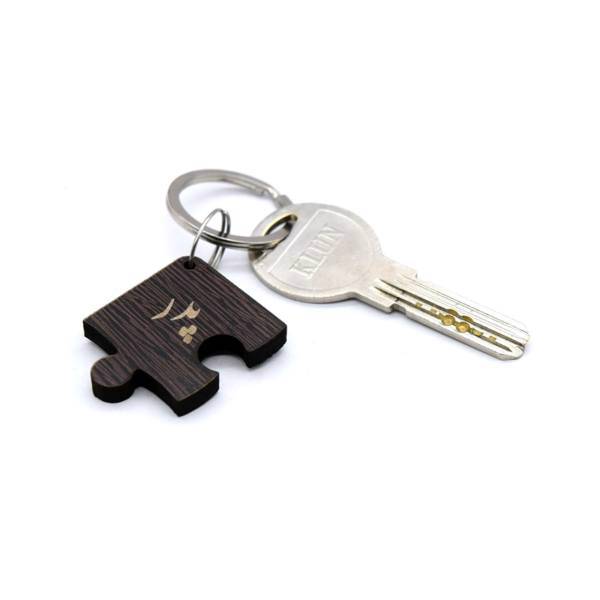 جاسویچی مدل family1001