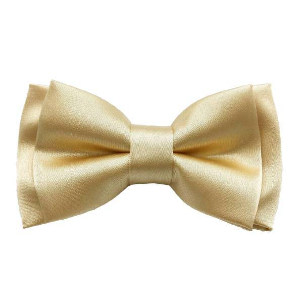 پاپیون هکس ایران مدل PS-GOLD DTN، Hextie Simple Gold Satin Bowtie