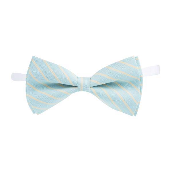 پاپیون ترلان مدل 144، Tarlan 144 Bow Tie