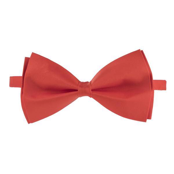 پاپیون ترلان مدل 169، Tarlan 169 Bow Tie