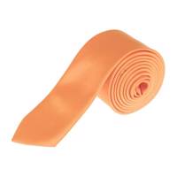 کروات ساده فرناندو مدل 07 - Fernando 07 Plain Tie For Men