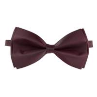 پاپیون ترلان مدل 191 - Tarlan 191 Bow Tie