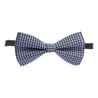 پاپیون ترلان مدل 170 Tarlan 170 Bow Tie