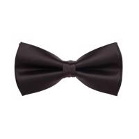 پاپیون ترلان مدل 01 Tarlan 01 Bow Tie