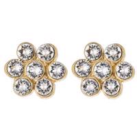 گوشواره الیور وبر مدل 22069G Oliver Weber 22069G Earring