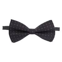 پاپیون ترلان مدل 217 Tarlan 217 Bow Tie