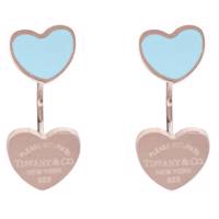 گوشواره میخی جی دبلیو ال مدل ER-380 JWL ER-380 Earring