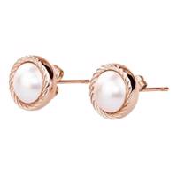 گوشواره میخی برازوی مدل BRF21 Brosway BRF21 Earring