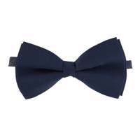 پاپیون ترلان مدل 218 Tarlan 218 Bow Tie