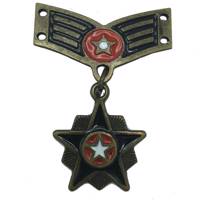 گل سینه هکس ایران مدل GK-ARM MEDAL