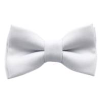 پاپیون ساتن ساده هکس ایران مدل PS-WIT Hextie Simple White Satin Bowtie