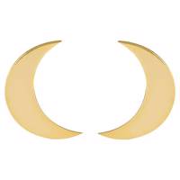 گوشواره طلا 18 عیار پندار گلد مدل GM01 Pendar Gold GM01 Gold Earing