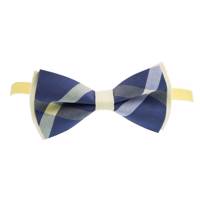 پاپیون ترلان مدل 164 Tarlan 164 Bow Tie