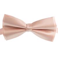 پاپیون گیوا مدل 8 - Giva 8 Bow Tie