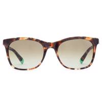 عینک آفتابی اتنیا بارسلونا سری Wild Love In Africa مدل 03 LEGR Etnia Barcelona Wild Love In Africa 03 LEGR Sunglasses