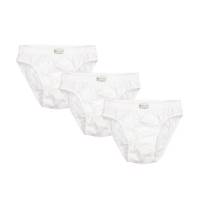 شورت مردانه رویین تن پوش مدل 61111بسته سه عددی Rooentanpoosh 61111 Underwear For Men Pack of 3