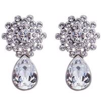 گوشواره کریستال الیور وبر مدل دنج 5525 Oliver Weber 5525 Cosy Crystal Earring