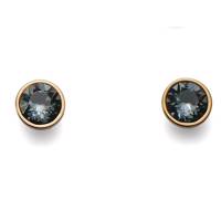 گوشواره میخی الیور وبر مدل جیانت 22379G Oliver Weber Giant 22379G Earring