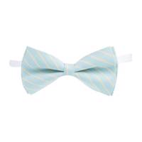 پاپیون ترلان مدل 144 Tarlan 144 Bow Tie