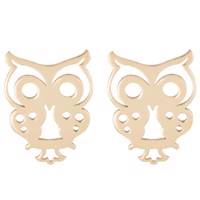 گوشواره طلا 18 عیار رزا مدل EG13 Rosa EG13 Gold Earring