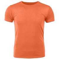 تی شرت آستین کوتاه زنانه نیکو تن پوش مدل 1569 Nikoo Tanpoosh 1569 Short Sleeves T-Shirt For Women