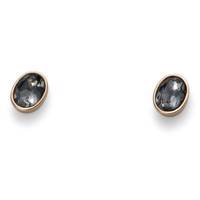 گوشواره میخی شب نقره ای الیور وبر مدل بیضی 22383G922 Oliver Weber Oval Silver Night 22383G922 Earring